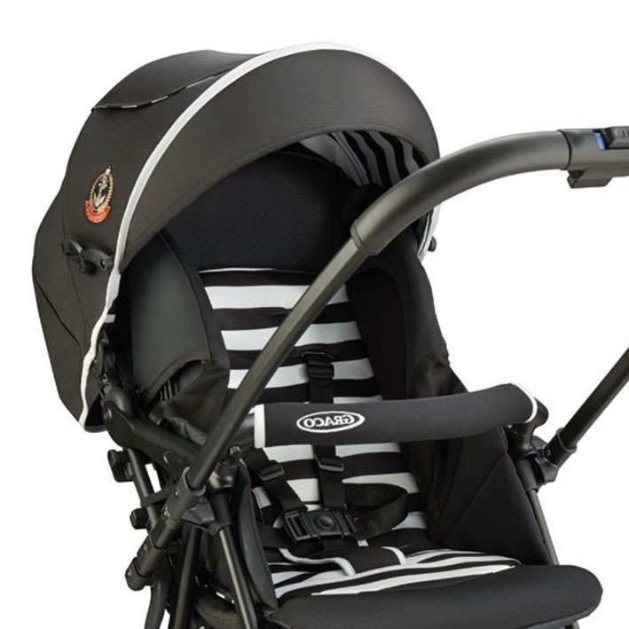 Xe đẩy trẻ em Graco CitiLite R Up Border 1936174 hình 2