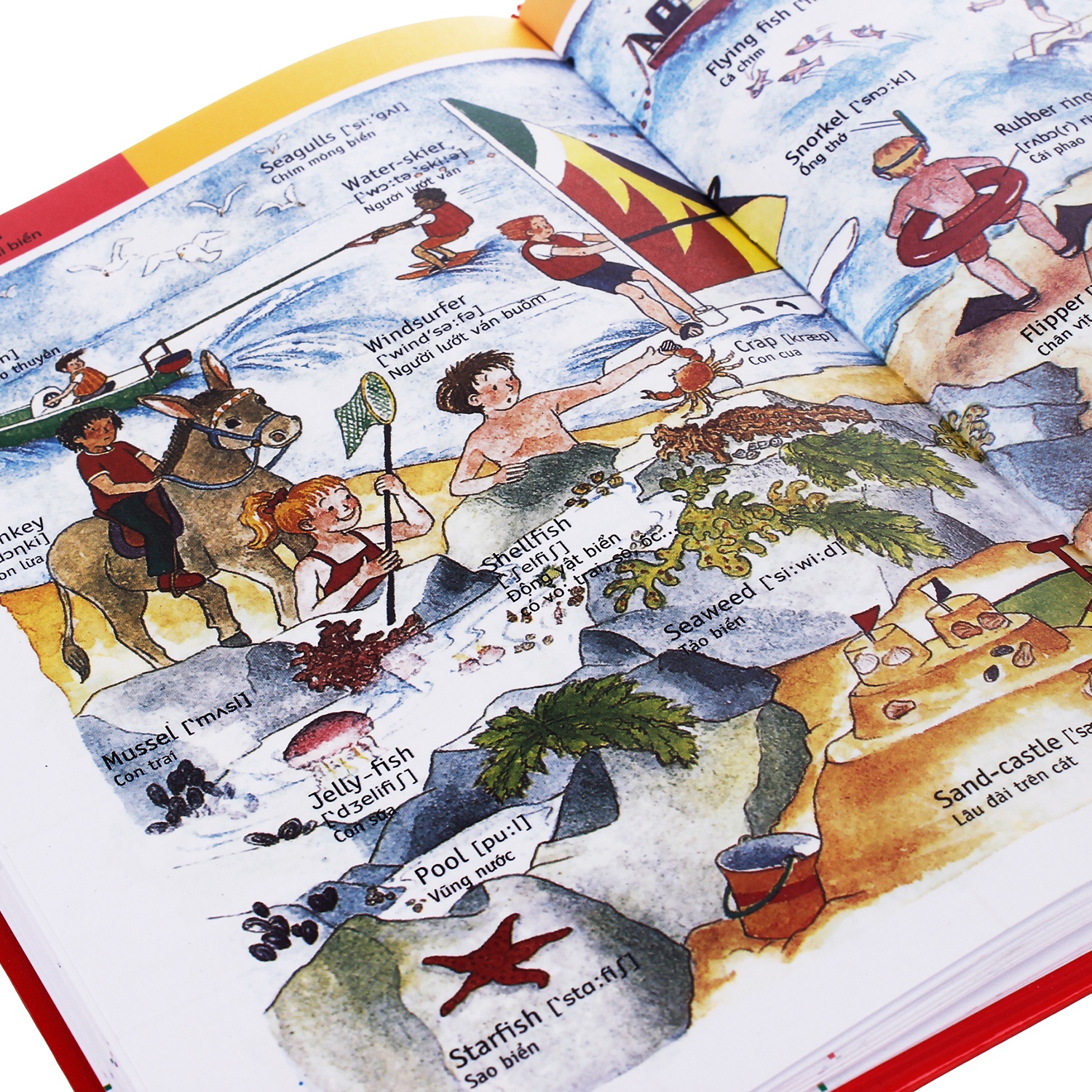 1000 từ tiếng anh đầu tiên 70 hình 2