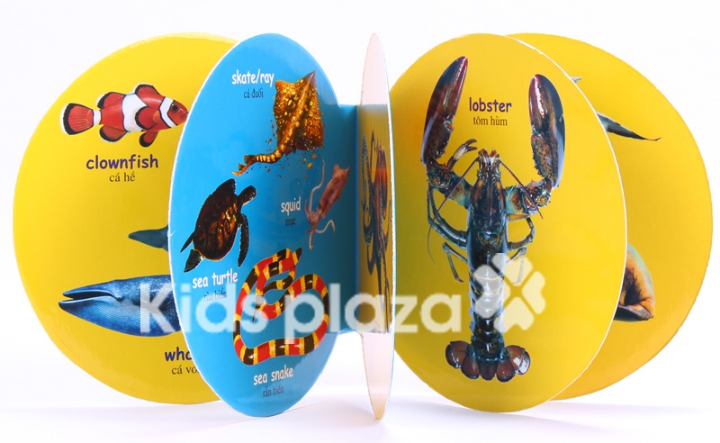 Từ điển bằng hình hình 2