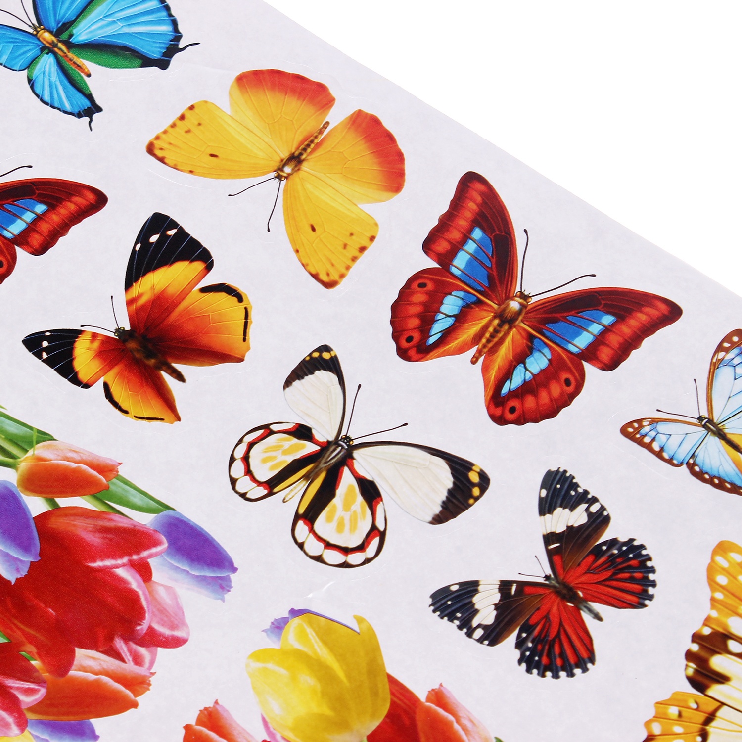 Tranh dán tường Wall Sticker loại nhỏ hình 3