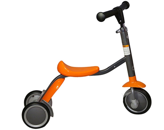 Xe trượt 2 in 1 Goodbaby Cam hình 2