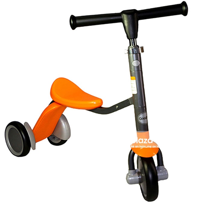 Xe trượt 2 in 1 Goodbaby Cam hình 3