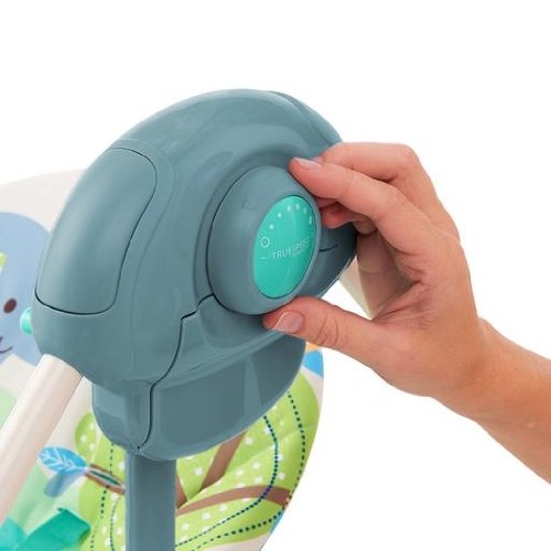 Xích đu Bright Starts Playful Pals Portable Swing 60194 hình 4