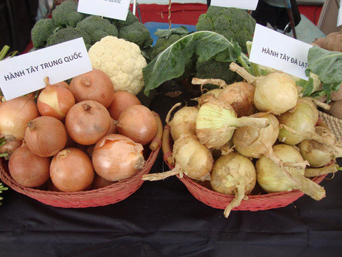 Nhận diện rau củ Trung Quốc