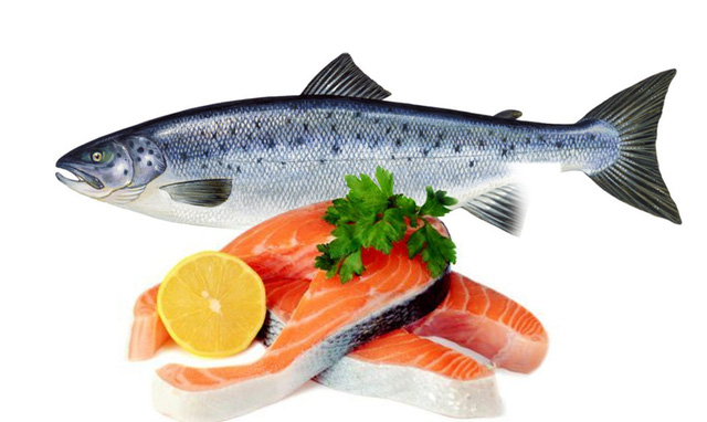 Cá hồi - thực phẩm dinh dưỡng chứa omega 3