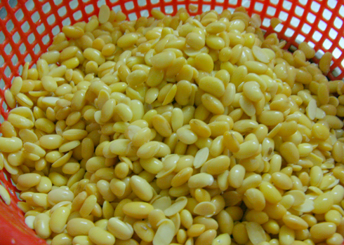 Cực kỳ dễ làm món đậu phụ tại nhà vừa ngon vừa bổ