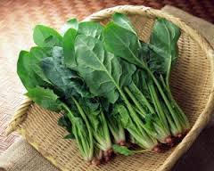 Tổng hợp các cách nấu cải bó xôi cho bé ăn dặm không thể bỏ qua