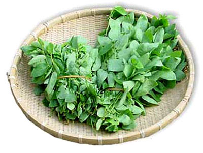 Rau ngót gây hại cho sức khỏe bà bầu