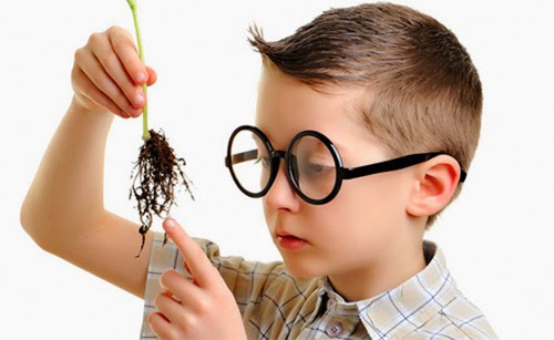 12 dấu hiệu trẻ thông minh hơn người