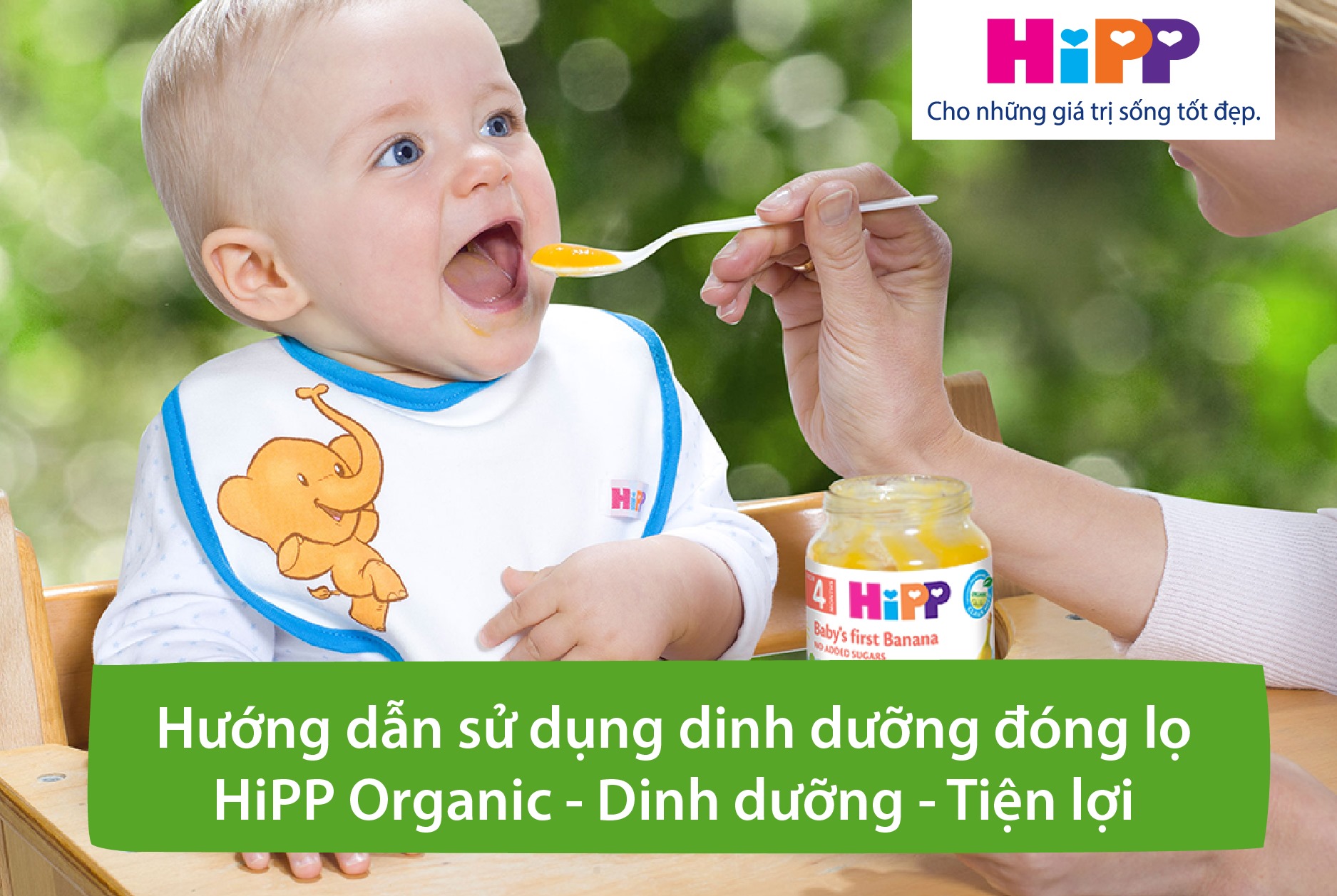 Hướng dẫn sử dụng đúng cách dinh dưỡng đóng lọ Hipp
