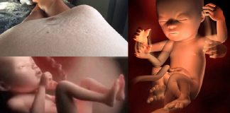 “Thông điệp” bé yêu gửi sau mỗi cú đạp