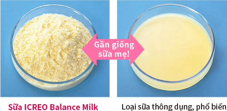 Sữa Glico số 0 có màu sắc,hương vị giống như sữa mẹ