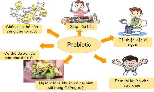 cách sử dụng sữa nan nga