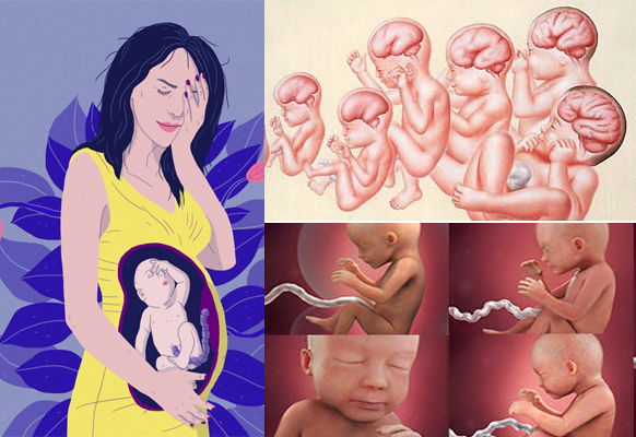 5 sai lầm mẹ bầu hay mắc phải khiến con kém thông minh,chậm phát triển 5-sai-lam-cua-me-khien-con-cham-thong-minh-kem-phat-trien