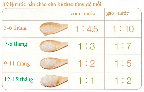 Ăn dặm Kiểu Nhật từ A - Z tỷ lệ nước nấu cháo