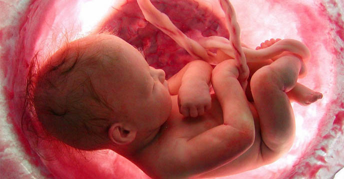 Mách mẹ cách xử lý khi thai nhi bị dây rốn quấn cổ