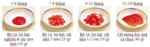 mo-hinh-ca-chua