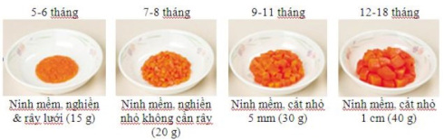 mo-hinh-ca-rot