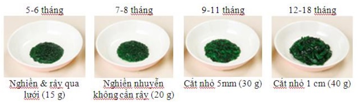 mo-hinh-cai-bo-xoi