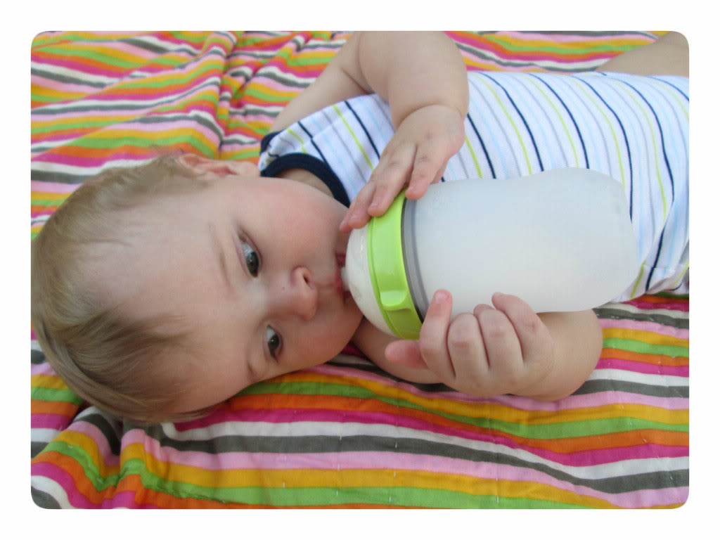 Bình sữa em bé loại nào tốt và an toàn nhất hiện nay? bình sữa em bé