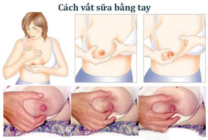 cách vắt sữa mẹ bằng tay