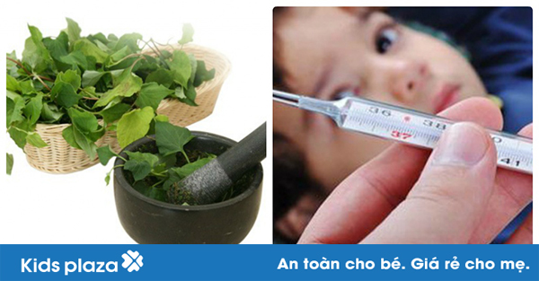 Tuyệt chiêu hạ sốt cực nhanh và hiệu quả cho bé từ rau diếp cá