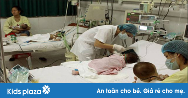 Báo động Viêm não Nhật Bản tăng vọt cả nước – Ba mẹ cần làm ngay những điều này