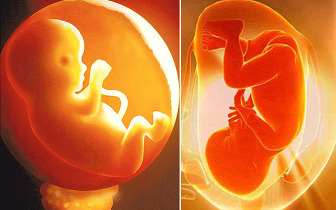 Thai nhi sẽ rất MỆT MỎI và SỢ HÃI nếu trong bụng mẹ mà gặp phải những điều này!