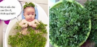 Tắm nước ngải cứu cho con, bé ho đờm nhầy đặc cũng sạch bong, da dẻ trắng hồng!