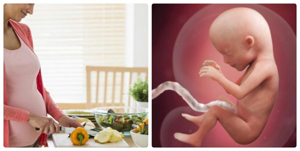 Mách mẹ bầu chế độ ăn từng tuần để thai nhi khỏe mạnh, bé yêu chào đời đạt chuẩn