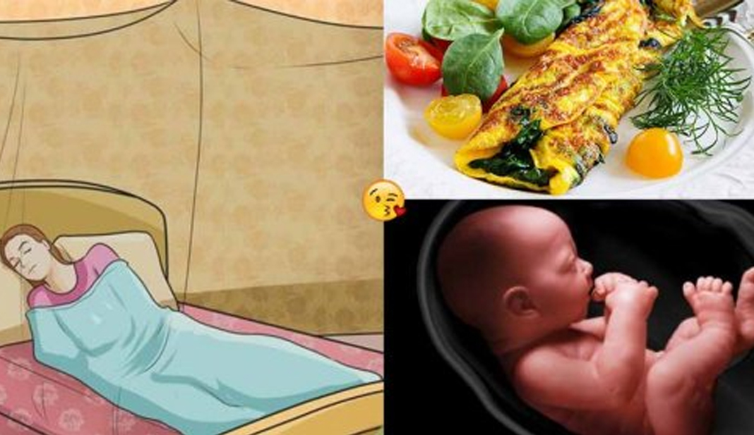 13 món ĐẠI BỔ cho mẹ bầu ăn buổi tối, không lo tăng cân mà thai nhi còn  phát triển khỏe mạnh -