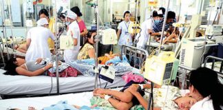 Rục rịch vào “mùa” cao điểm sốt xuất huyết ở Hà Nội, nhiều người nhập viện vì chủ quan