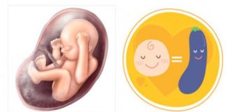 Bảng cân nặng và chiều dài thai nhi mới nhất theo chuẩn của WHO