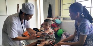 Sự nguy hiểm chết người của kiến ba khoang và cách xử lý an toàn khi bị kiến đốt