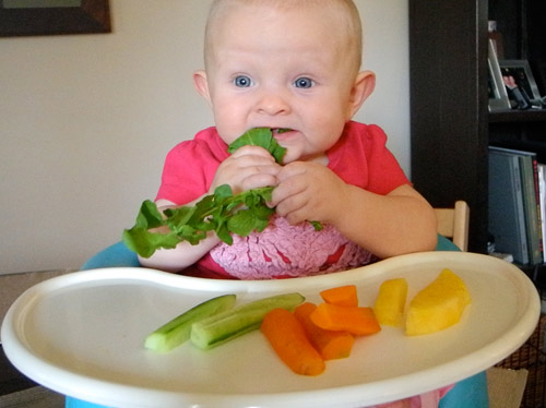 Phương pháp ăn dặm BLW (Ăn dặm tự chỉ huy - Baby led weaning)