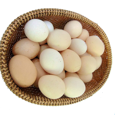 trứng ga ta giúp tăng cường dinh dưỡng cho mẹ và bé