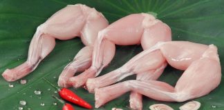 Bột cóc? Có phải là thức ăn dặm bổ dưỡng cho trẻ em như lời truyền miệng