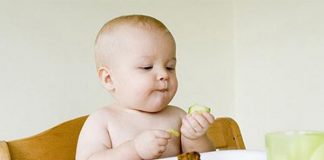 Chia sẻ kinh nghiệm cho bé 8 tháng tuổi ăn dặm