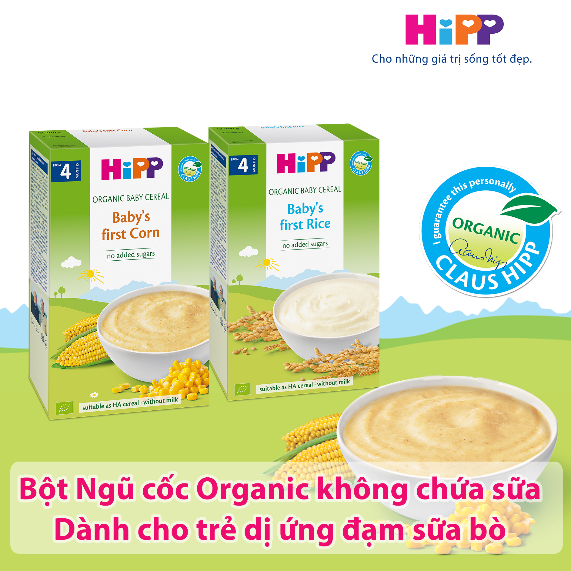 Chọn bột ăn dặm Hipp cho bé 5M bị dị ứng sữa bò