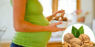 Hạt óc chó có tác dụng gì cho bà bầu? Nên ăn bao nhiêu quả óc chó một ngày ?