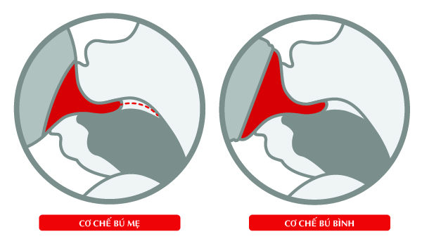 bình sữa nuk của đức