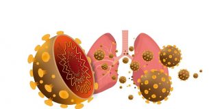 Virus corona là gì? Tàn phá cơ thể người ra sao? Virus corona là gì