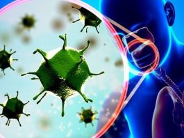 Nhiệt độ trên 25 độ C có tiêu diệt hoàn toàn virus corona chủng mới ? Nhiệt độ trên 25 độ C có tiêu diệt hoàn toàn virus corona chủng mới