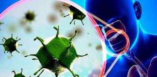 Nhiệt độ trên 25 độ C có tiêu diệt hoàn toàn virus corona chủng mới ? Nhiệt độ trên 25 độ C có tiêu diệt hoàn toàn virus corona chủng mới