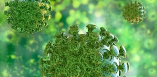 Tìm hiểu bệnh viêm phổi cấp do virus Corona: biểu hiện & cách phòng tránh? Virus Corona