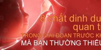 Dưỡng chất thiết yếu cần cho giai đoạn mang thai