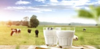 Top 8 sữa tươi organic cho bé được tin dùng nhất hiện nay