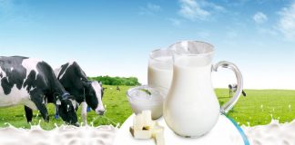 Sữa tươi nào tốt cho trẻ 3 tuổi cải thiện cân nặng và chiều cao