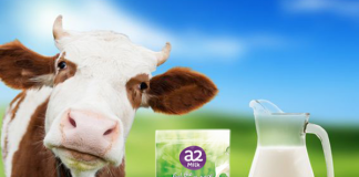 Sữa A2 dành cho trẻ mấy tuổi? Có giúp phát triển chiều cao không?