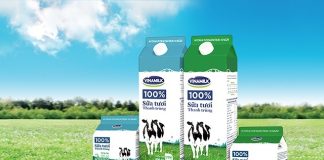 Tổng hợp các loại sữa tươi Vinamilk cho bé tốt nhất hiện nay